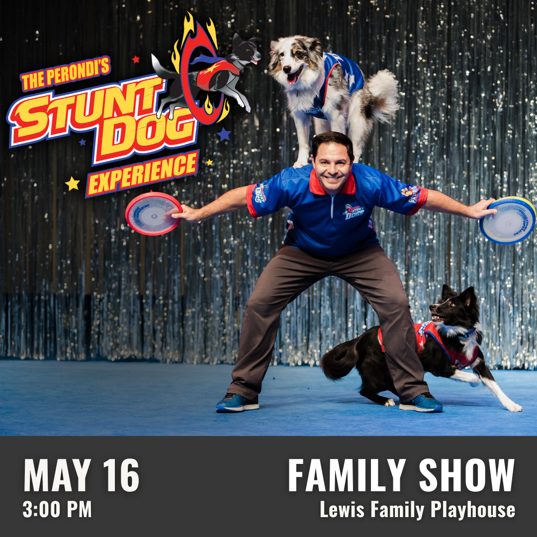 Promotional graphic for The Perondi’s Stunt Dog Experience. Performance on  May 16 at 3:00 PM at the Lewis Family Playhouse. Image shows a performer holding two discs while two stunt dogs perform tricks, one balanced on the performer’s shoulders and another posed at the performer’s side, against a sparkly silver curtain backdrop. Event labeled as a family show.