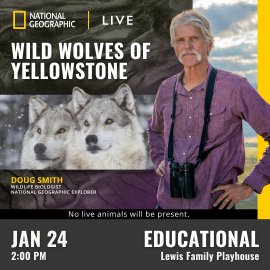 Promotional graphic for National Geographic Live Wild Wolves of Yellowstone. Test reads: “Doug Smith, Wildlife Biologist, National Geographic Explorer.” Performance on January 24 at 2:00 PM at the Lewis Family Playhouse. Image shows a wildlife expert standing outdoors with binoculars, alongside an image of two wolves in snowy terrain, with note: “No live animals will be present.” Event labeled as educational.